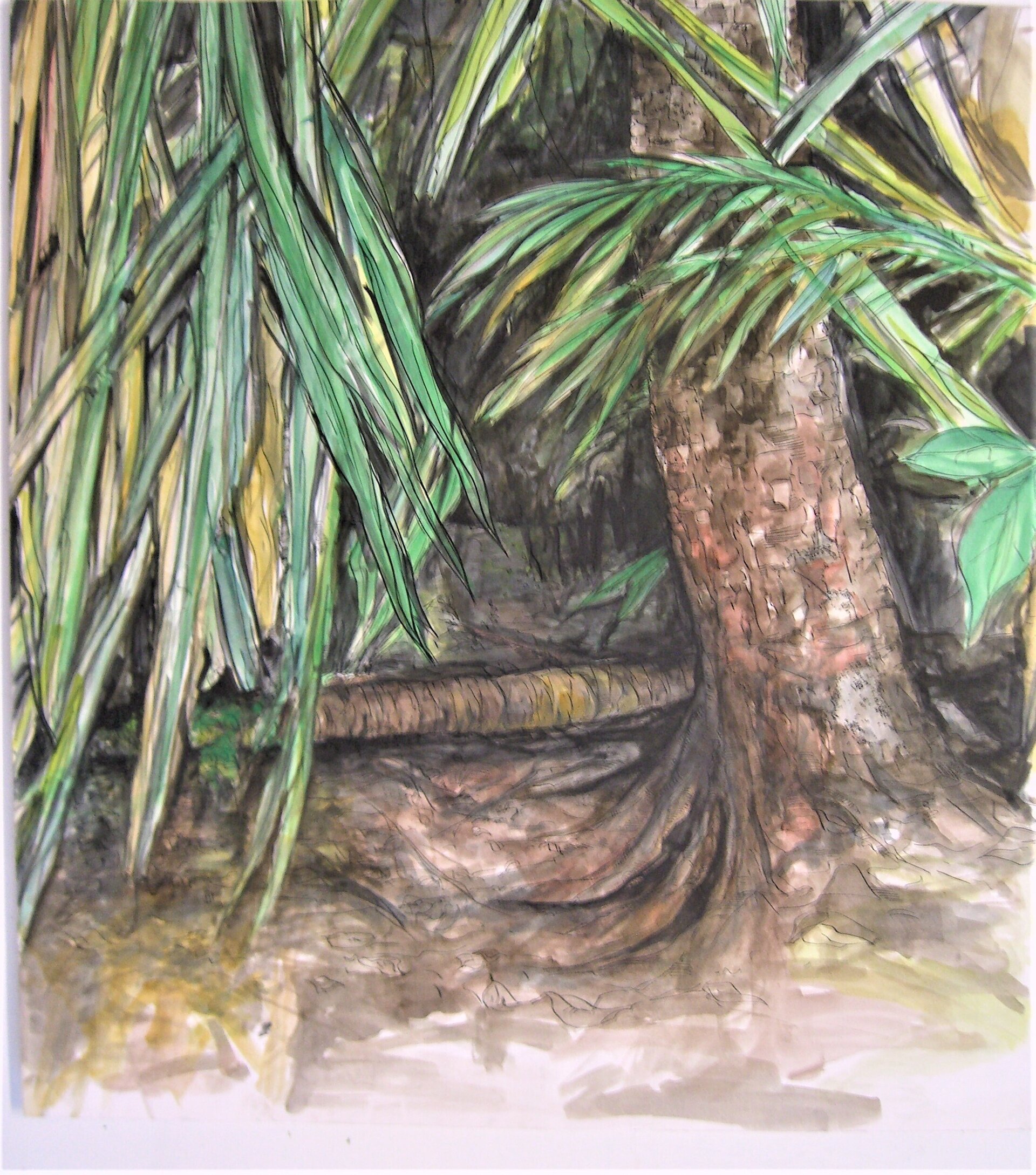 Der Schmetterlingsbaum