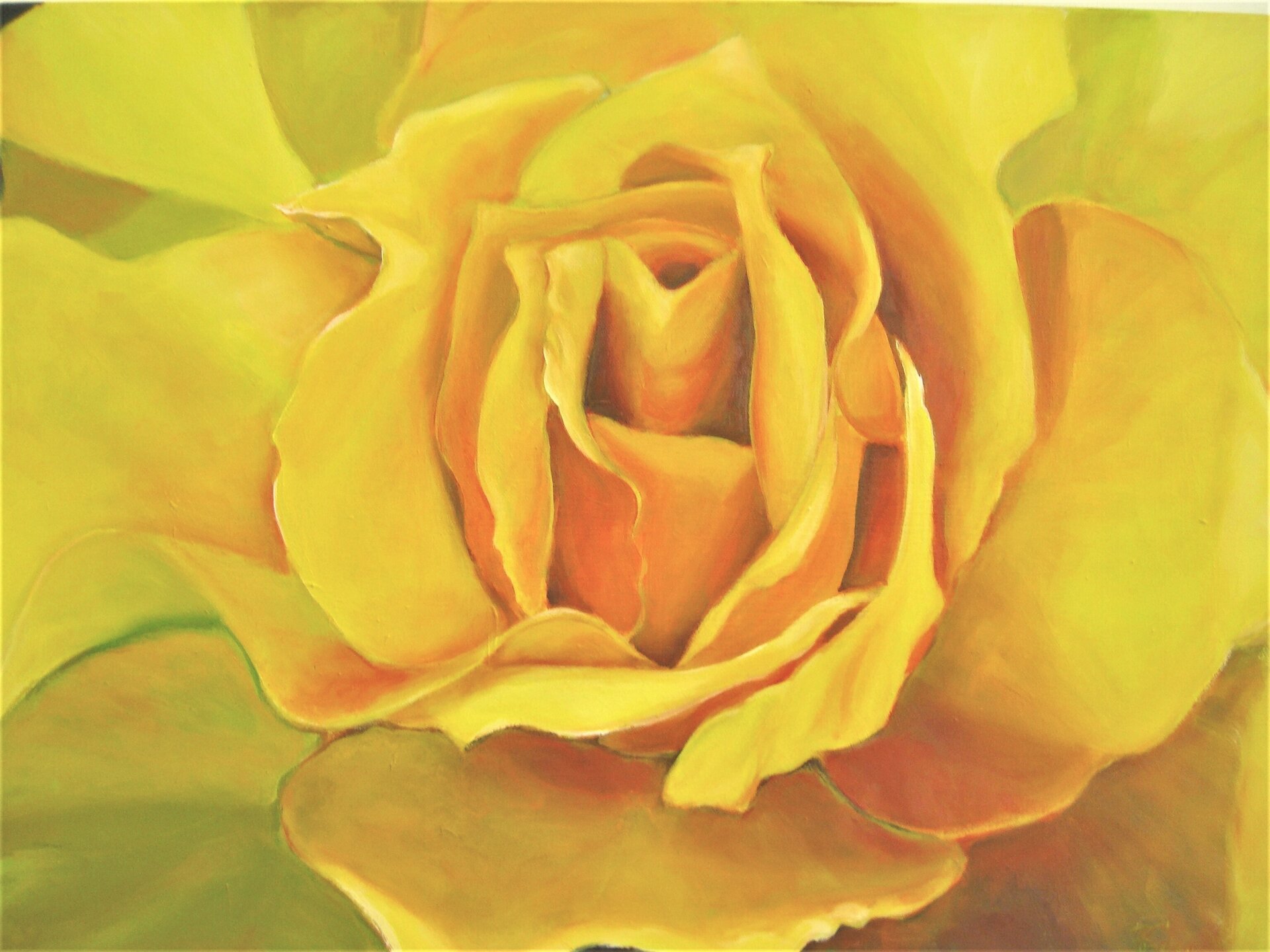 Gelbe Rose Gelbe Rose