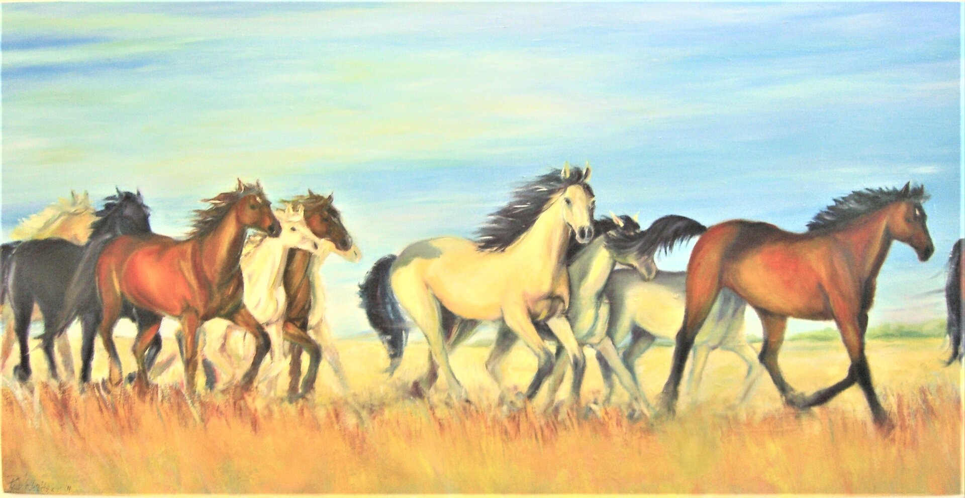 Freies Rennen Freies Rennen