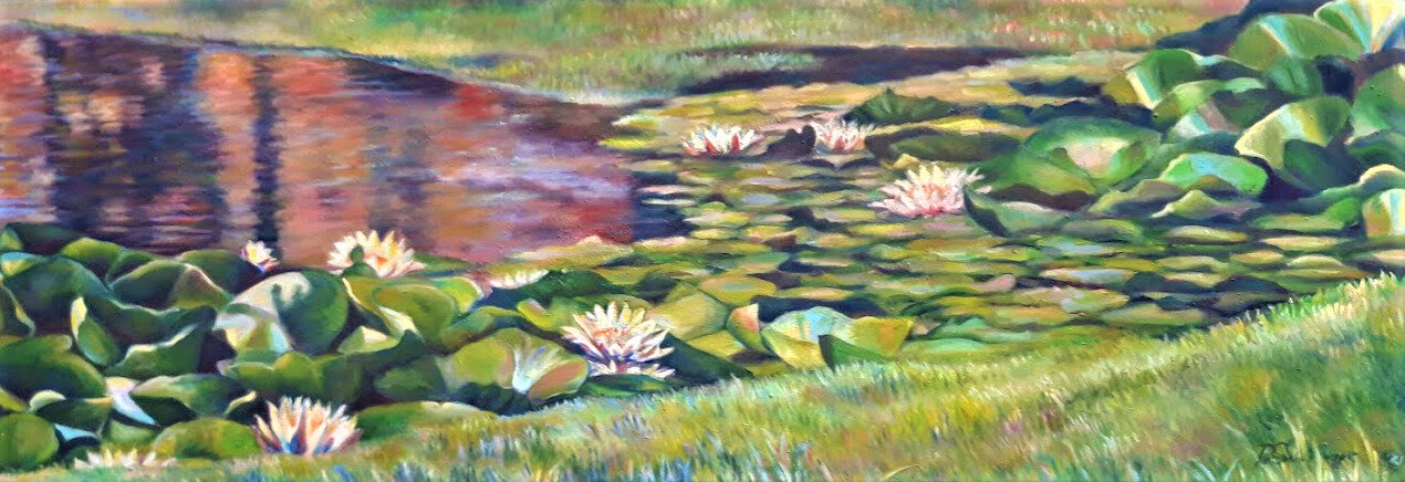 Seerosenteich Seerosenteich