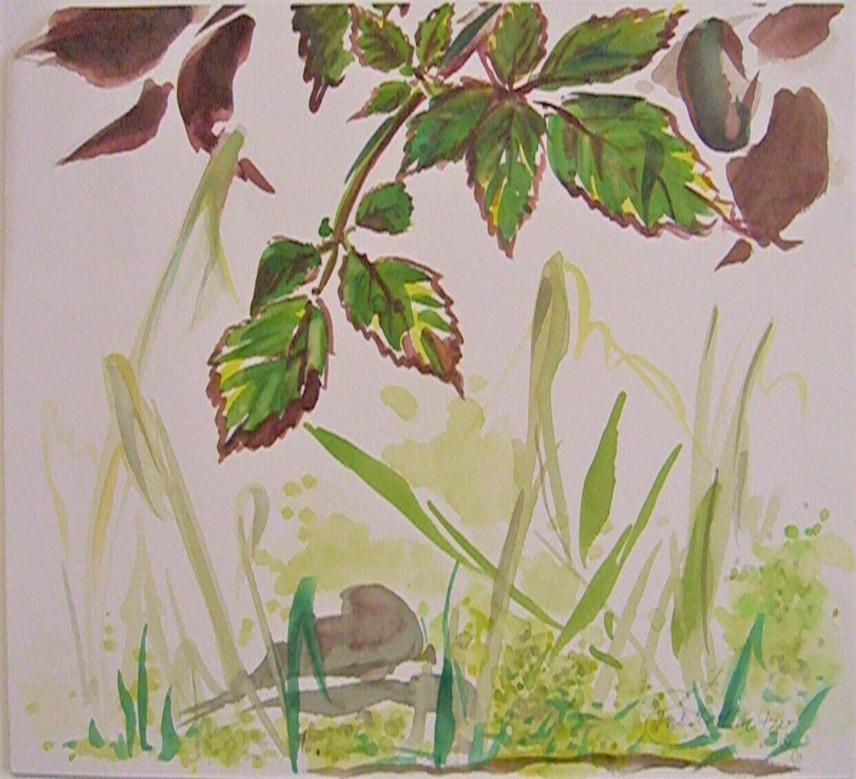 Kleiner Zweig Kleiner Zweig