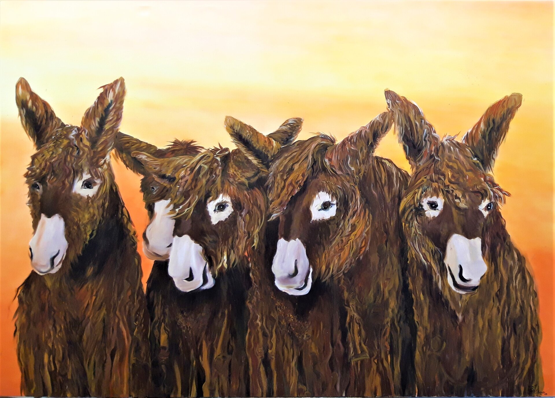 Das Leben erleben - Poitou Esel Das Leben erleben - Poitou Esel