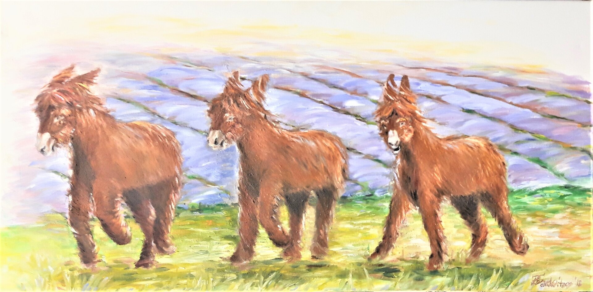 Der Wind weht Der Wind weht