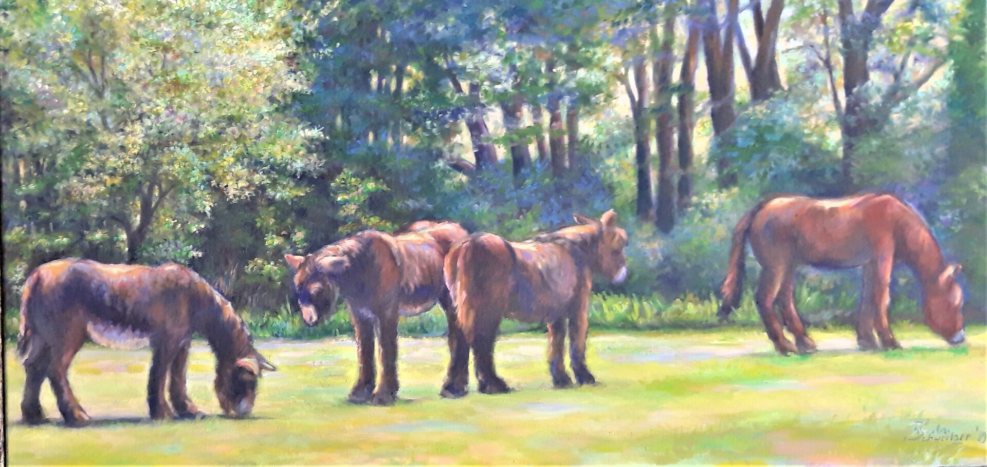 3 Poitou Esel und ein Muli