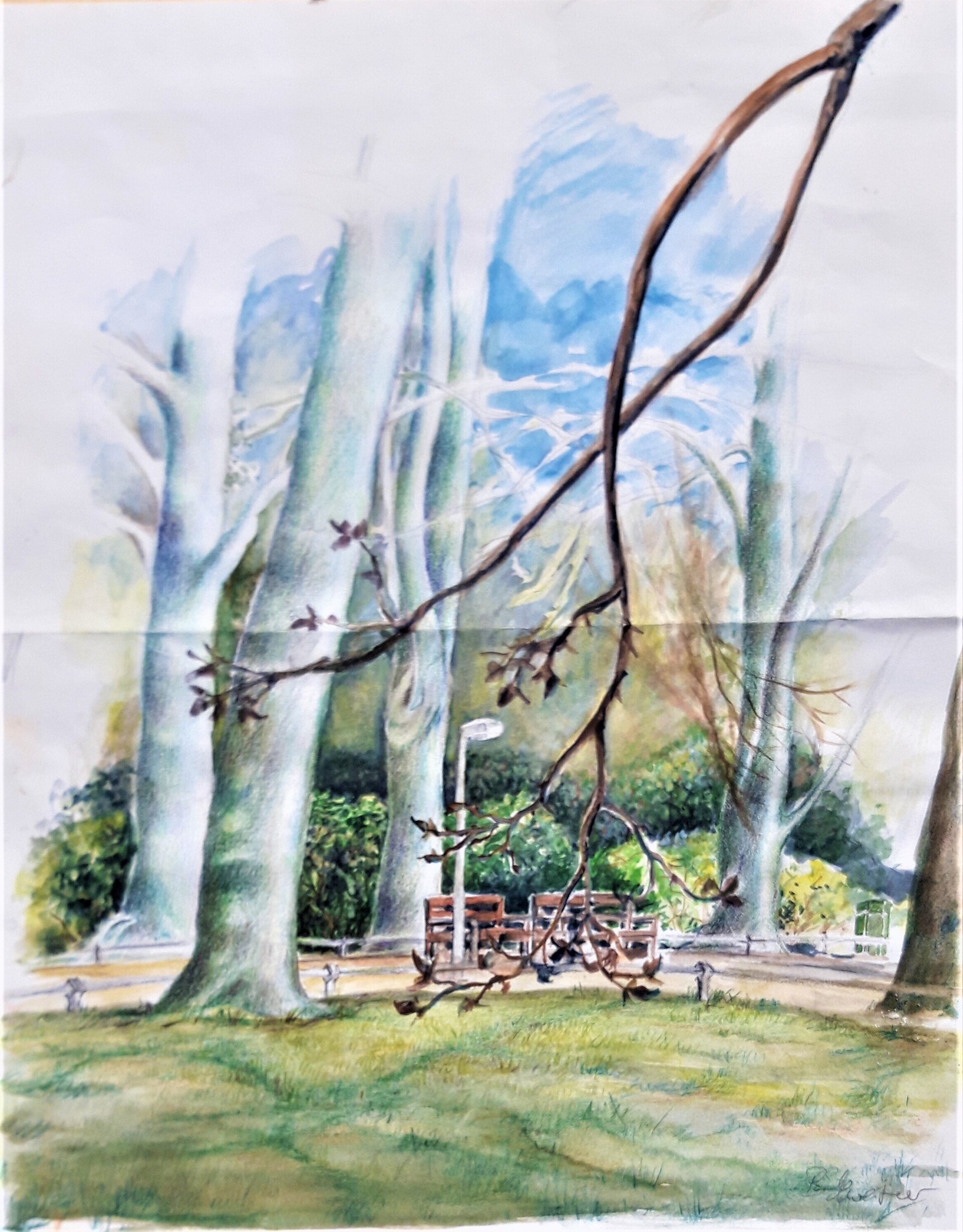 Kleiner Zweig Kleiner Zweig