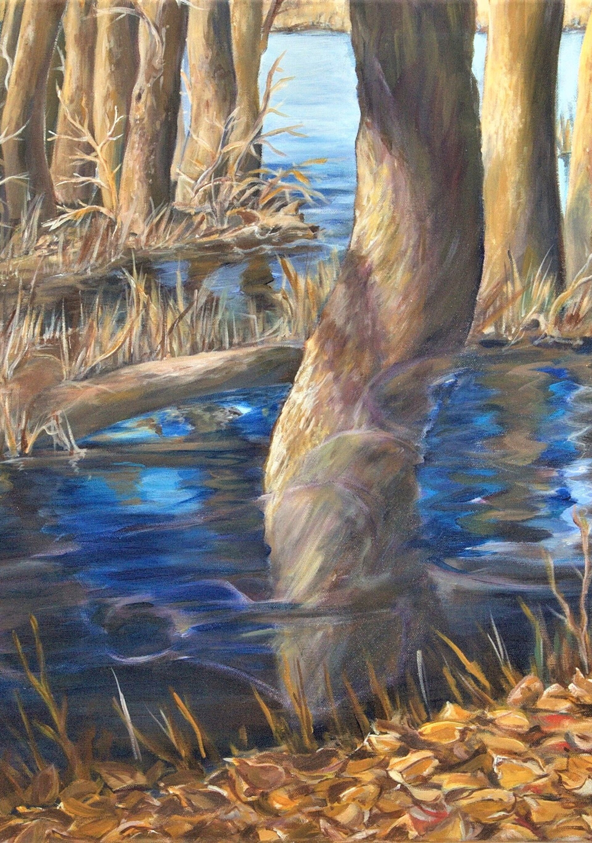 Im Schatten der Natur